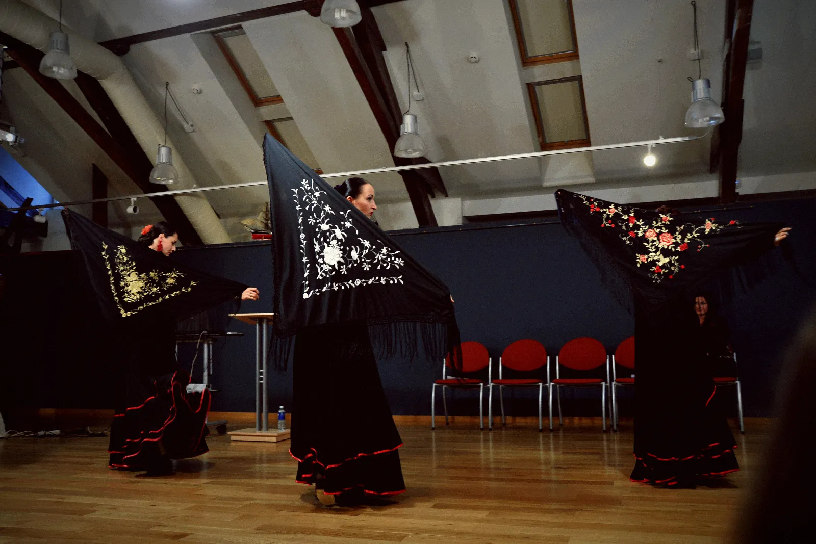 Seminaras “Žinomas ir nežinomas flamenko” 2016 10 07, nuotrauka 8 iš 41